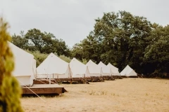 Unusual night - Bonjour Fun