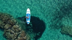 Paddle - Bonjour Fun