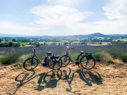 1/2 journée HALF DAY matin - app.name