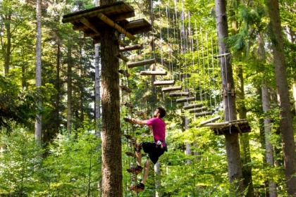 High rope course and zip lines - Parc Alsace Aventure - Bonjour Fun