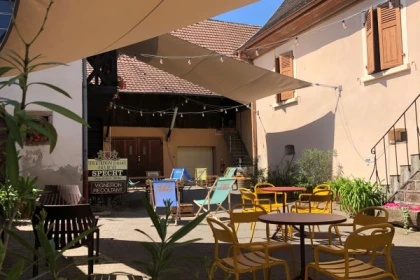 Gourmet aperitif at the Independent Winegrower's - Bonjour Fun