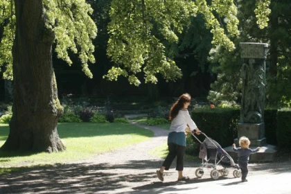 Aquarelle et botanique - app.name