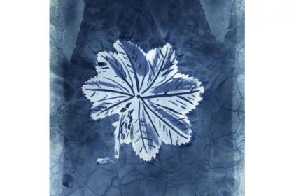 Atelier artistique - Impression au Cyanotype - app.name