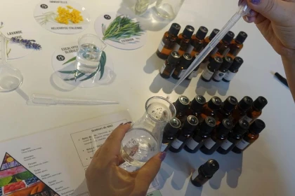 Atelier Brume naturelle (selon saison) - app.name