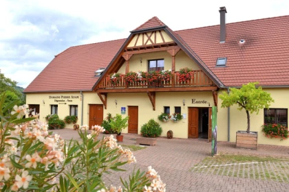 Alsace Wine Experience: Guided Tasting & Cellar Tour - Bonjour Fun