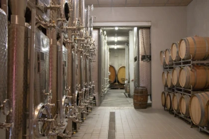 Alsace Wine Experience: Guided Tasting & Cellar Tour - Bonjour Fun