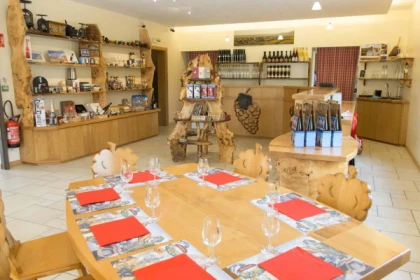 Alsace Wine Experience: Guided Tasting & Cellar Tour - Bonjour Fun