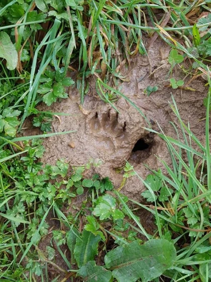 Atelier « Qui passe par là ? Enquête sur les traces et indices de présence » - app.name