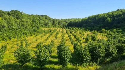 Balade biodiversité au verger - app.name