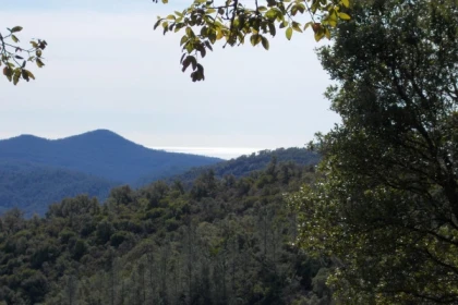 Balade demi-journée "Vue mer et montagne" - app.name