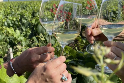 Balade des Grands Crus en e-Mehari et dégustation de Chablis - app.name