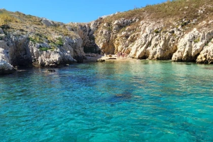 Tour 2 h Discovery of Marseille by the sea - Bonjour Fun
