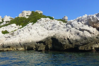 Tour 2 h Discovery of Marseille by the sea - Bonjour Fun