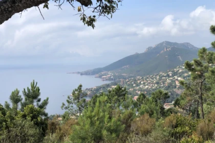 Electric mountain bike ride in the Esterel Massif - Bonjour Fun