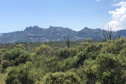 Balade en VTT électrique plateau du Rouet - app.name