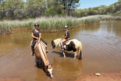 Balade et baignade à cheval dans le massif de l'Esterel - app.name