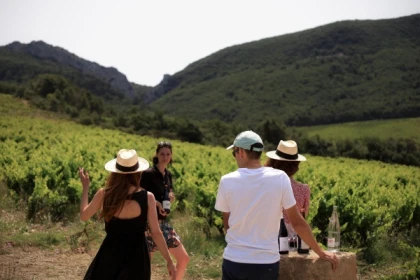 Walking tour of the vineyard - Bonjour Fun