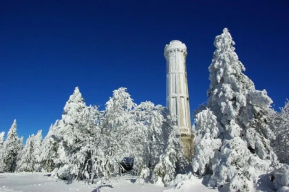 Balade le Jour de l'An au Champ du Feu - app.name