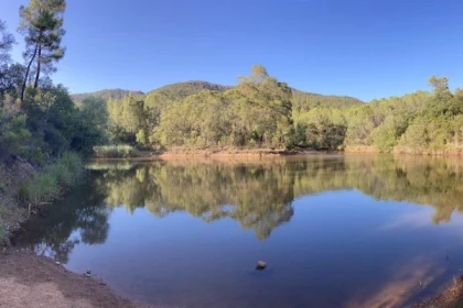 Balade naturaliste à la Lieutenante - app.name