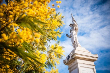 Balade naturaliste - Au coeur du Tanneron et ses mimosas - app.name
