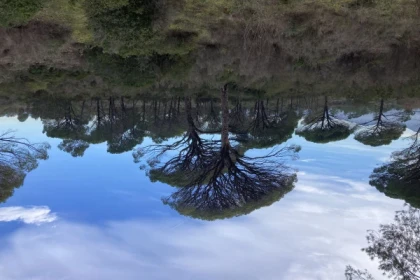 Balade naturaliste aux lacs inattendus - app.name
