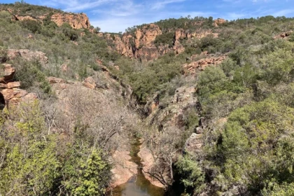 Balade naturaliste de l'homo Bouvérien - app.name