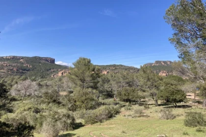 Balade naturaliste de l'homo Bouvérien - app.name