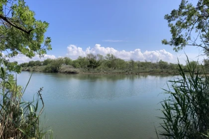 Balade naturaliste des étangs de Villepey - app.name