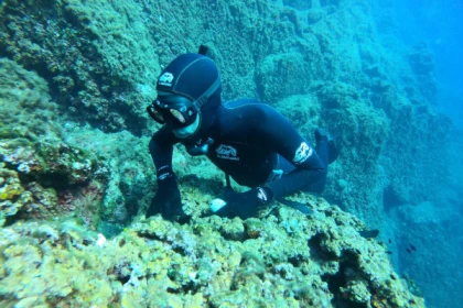 Introduction or improvement to apnea - Saint Raphaël - Bonjour Fun