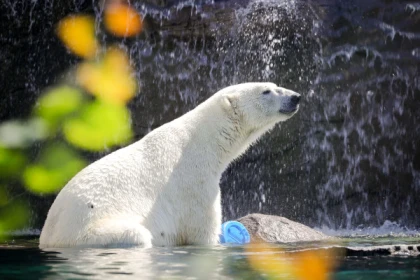 Billet d'entrée - Zoo de Mulhouse - app.name