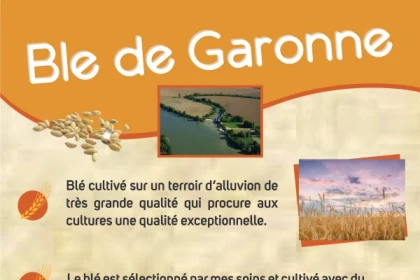Bordeaux: Garonne French Crepes - Bonjour Fun