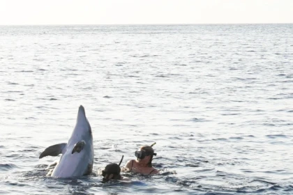 Catamaran sail ride in Marseille Bay from L'Estaque - Bonjour Fun