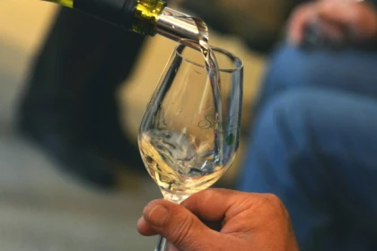 Chablis tasting at Domaine Clotilde Davenne in English - Bonjour Fun
