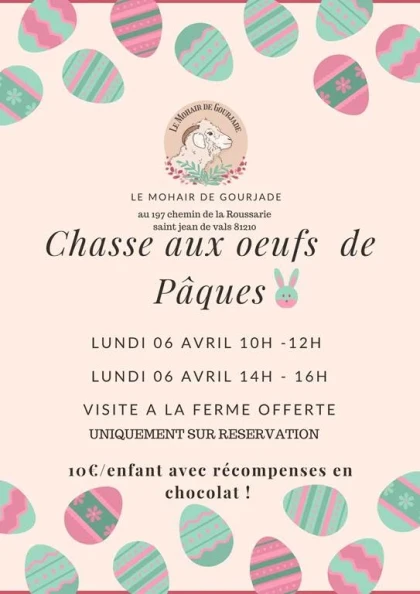 Chasse aux oeufs de Pâques - app.name