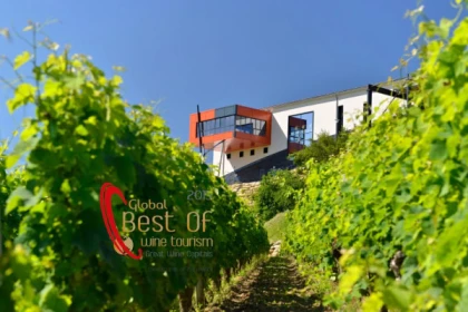 Château La Croizille St-Emilion Grand Cru Classé : Visita y Degustación en Español - app.name