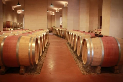 Château Lestrille - Tour & tasting - Bonjour Fun
