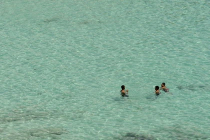 Tour 2 h Discovery of Marseille by the sea - Bonjour Fun