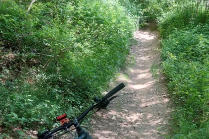 CIRCUIT "BLEU" - app.name