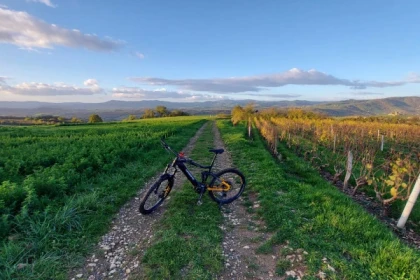 CIRCUIT "VERT" - app.name