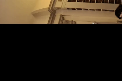 Courbet, entre Lettres et Passion - app.name