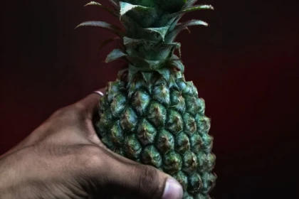 Cours en duo Parent - Enfant Fruits - app.name