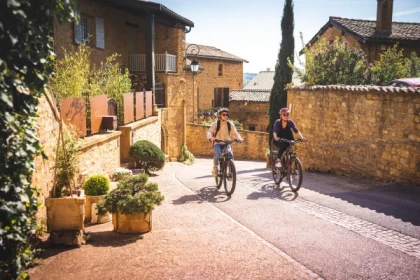 COURT CIRCUIT - app.name