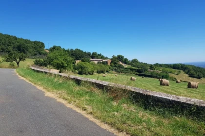 COURT CIRCUIT - app.name