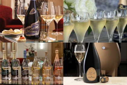 Dégustation au Champagne BLAISE LOURDEZ - app.name