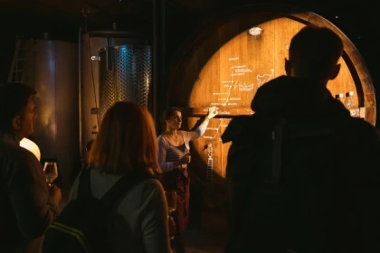 Wine tasting and immersive cellar tour - Bonjour Fun