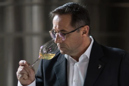 Tasting of 6 wines - Bonjour Fun