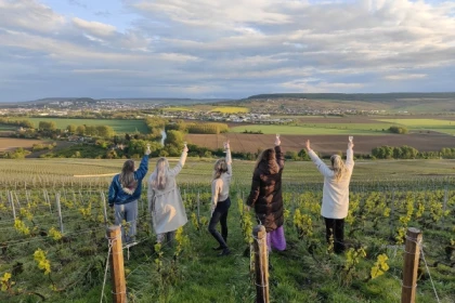 Dégustation de champagne, balade panoramique, vignoble - app.name