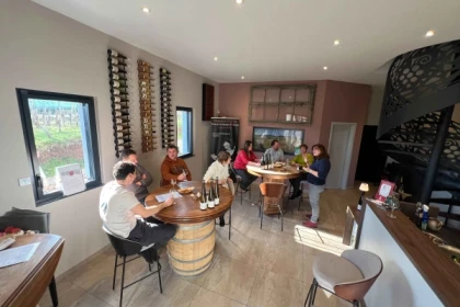 Tasting of Alsace's must-try organic wines - Bonjour Fun