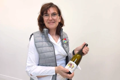 Tasting of Alsace's must-try organic wines - Bonjour Fun