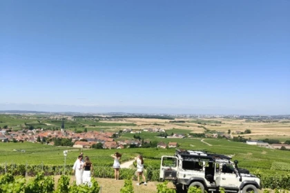 Dégustation Millésimé et balade panoramique, vignoble - app.name